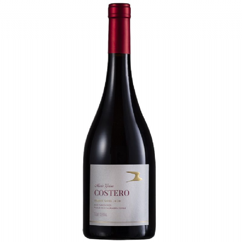 Mario Geisse Costero Pinot Noir