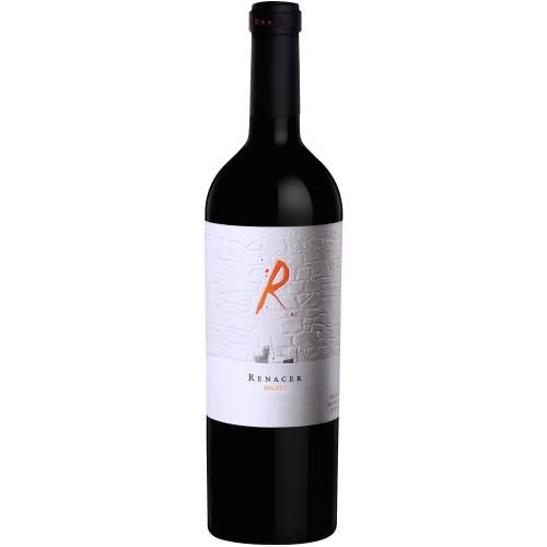 Vinho Argentino Renacer Malbec