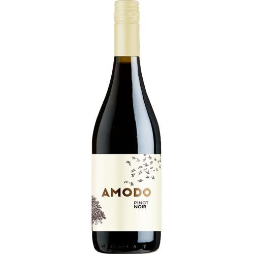 Amodo Pinot Noir IGT Pavia 